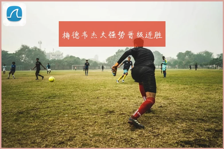 梅德韦杰夫强势晋级连胜