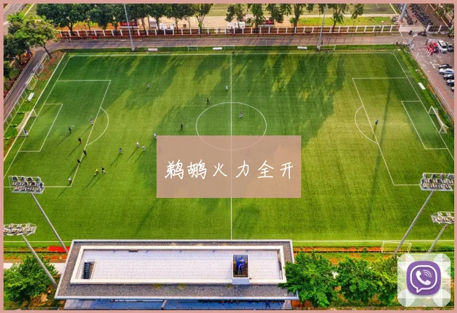 鹈鹕火力全开