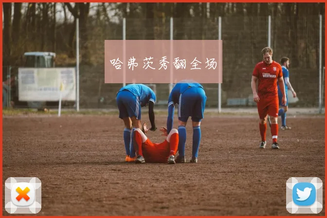 哈弗茨秀翻全场