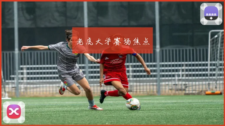 老虎大学赛场焦点