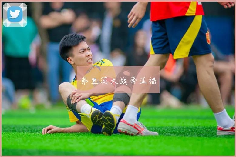 弗里茨大战蒂亚福