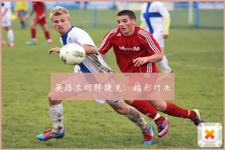 英格兰对阵捷克：精彩对决
