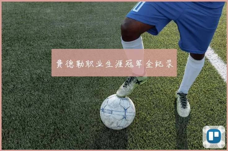费德勒职业生涯冠军全纪录