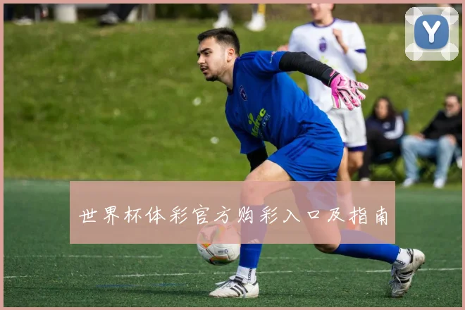 世界杯体彩官方购彩入口及指南