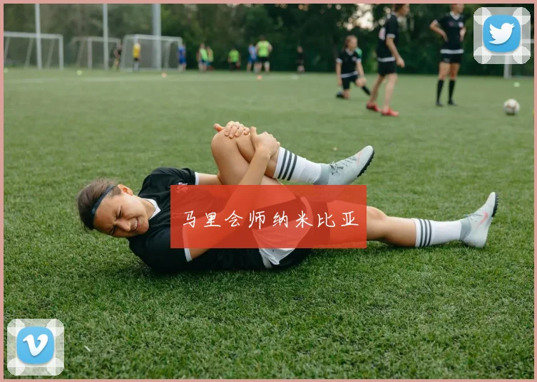 马里会师纳米比亚