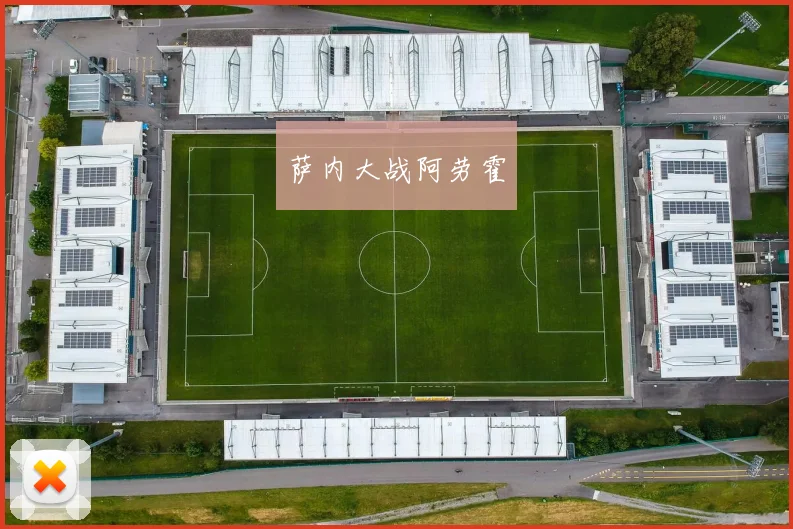 萨内大战阿劳霍
