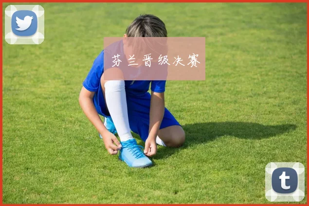 芬兰晋级决赛