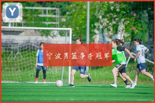 宁波男篮争夺冠军