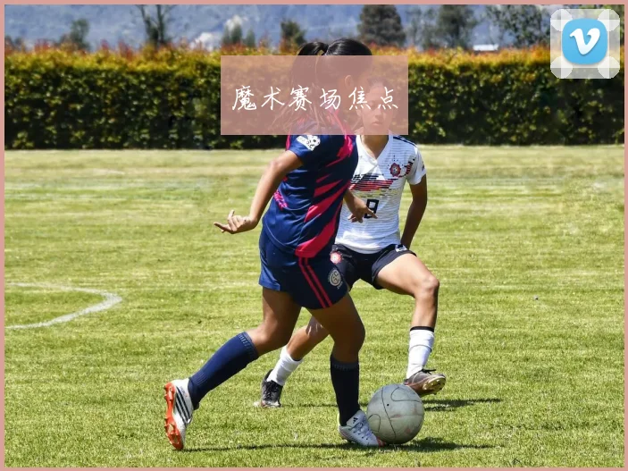 魔术赛场焦点