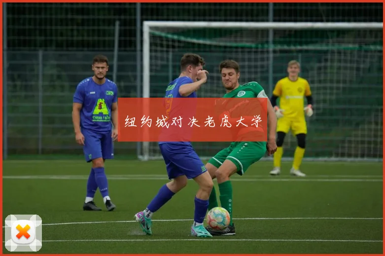 纽约城对决老虎大学