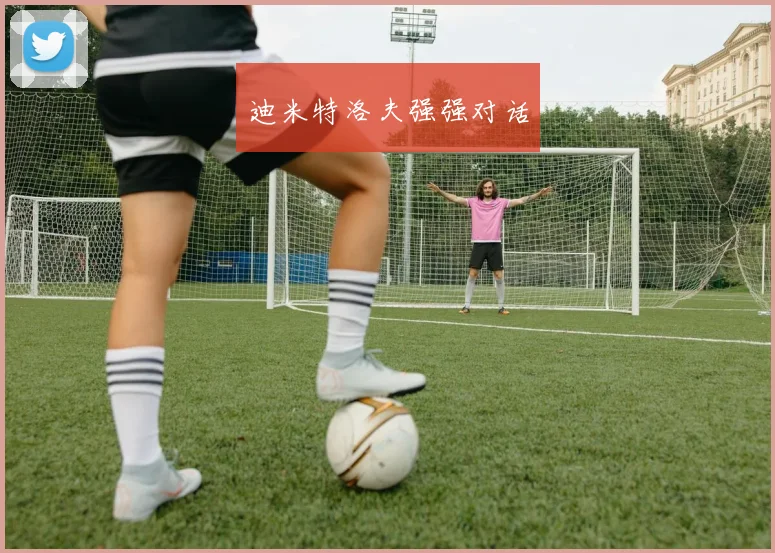 迪米特洛夫强强对话