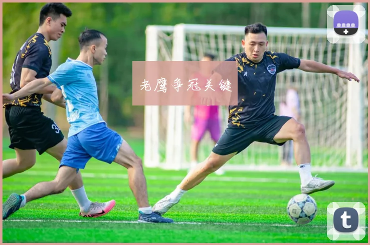 老鹰争冠关键