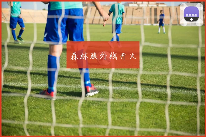 森林狼外线开火