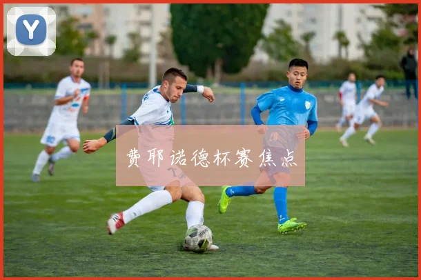 费耶诺德杯赛焦点