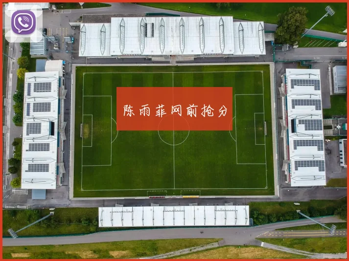 陈雨菲网前抢分