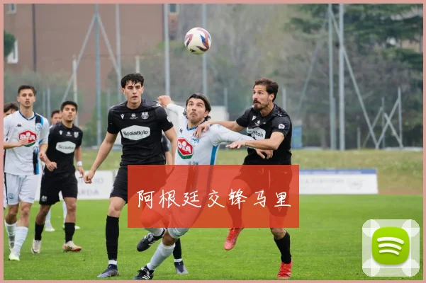 阿根廷交锋马里