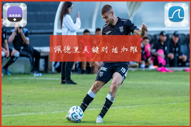 佩德里关键对话加维