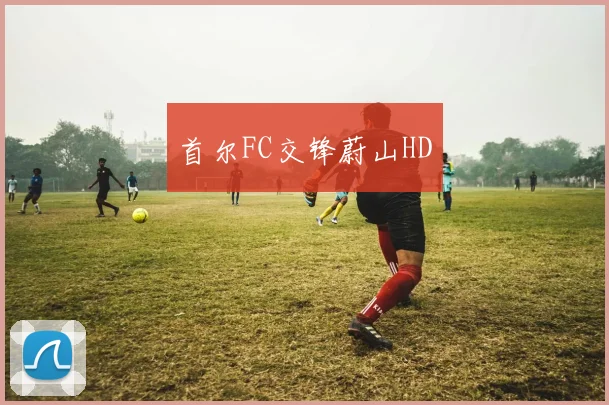 首尔FC交锋蔚山HD