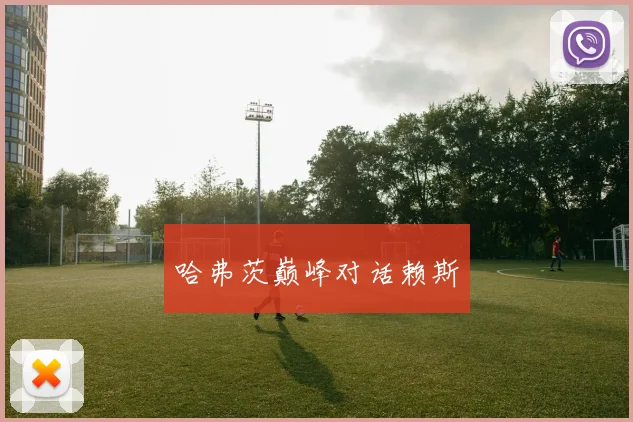 哈弗茨巅峰对话赖斯