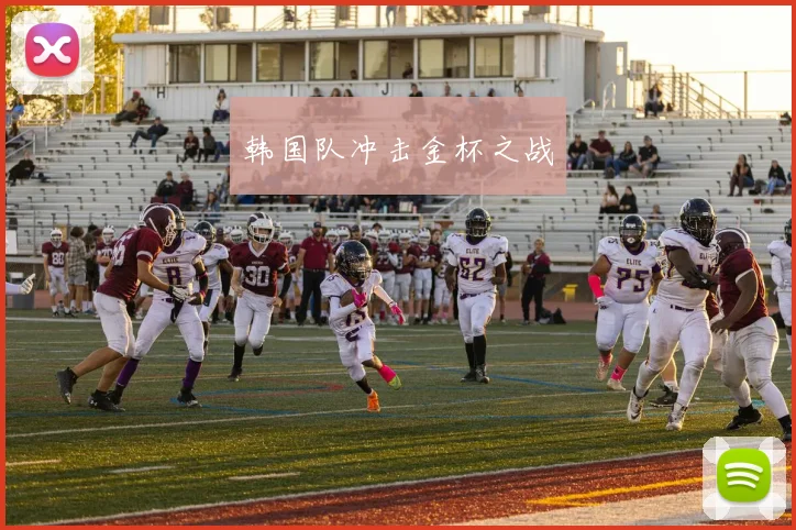 韩国队冲击金杯之战