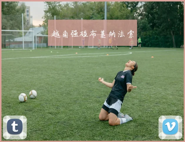 越南强碰布基纳法索