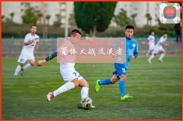 葡体大战流浪者