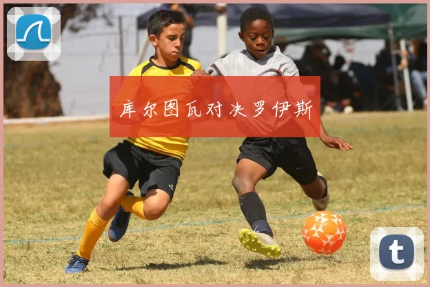 库尔图瓦对决罗伊斯