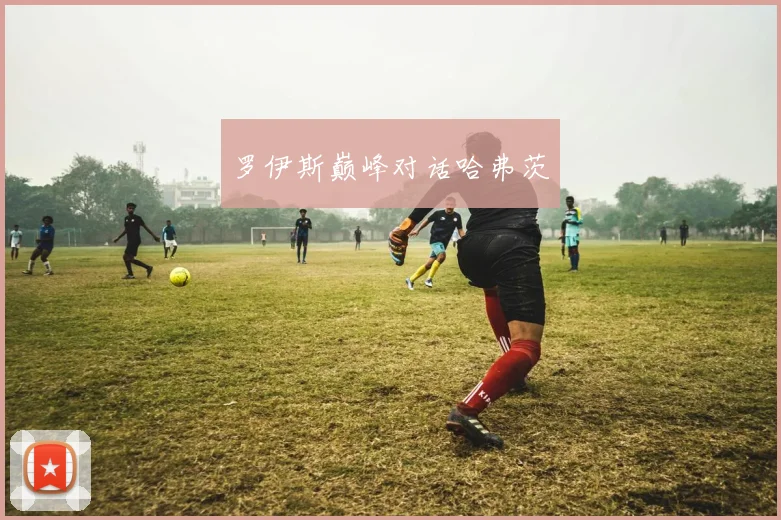 罗伊斯巅峰对话哈弗茨