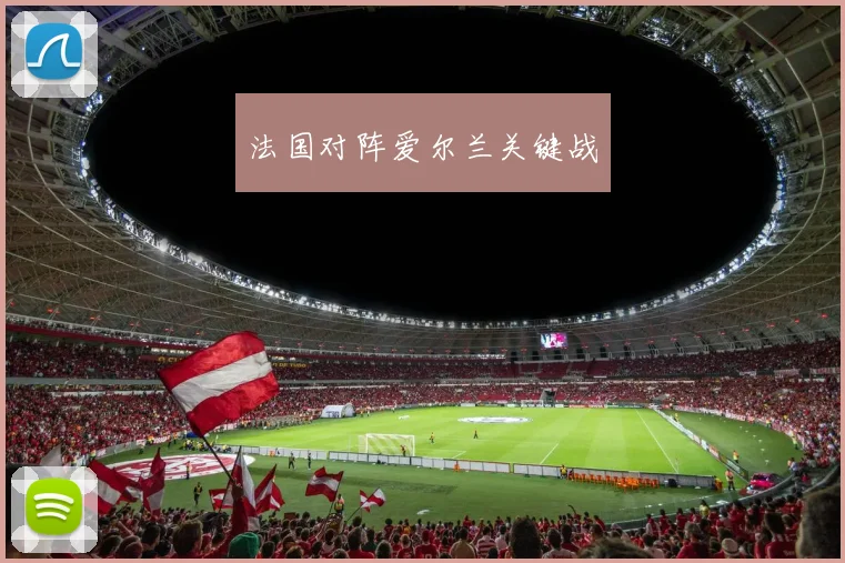 法国对阵爱尔兰关键战
