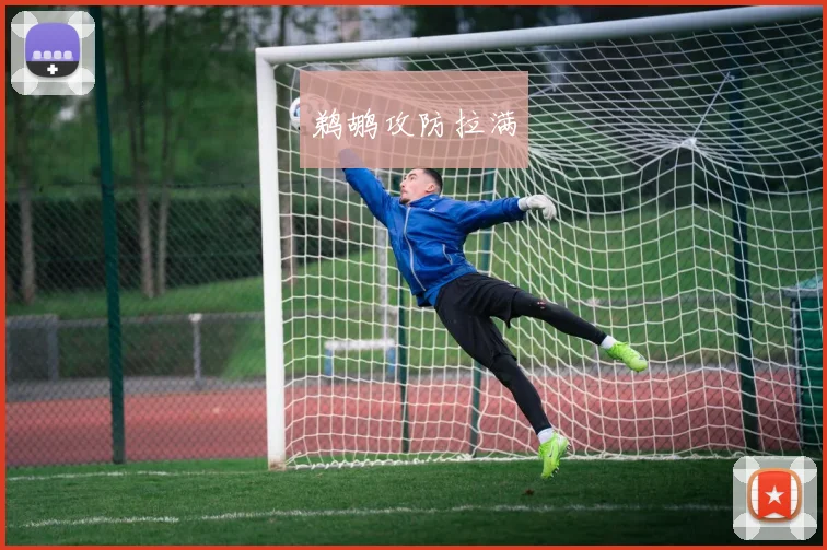 鹈鹕攻防拉满