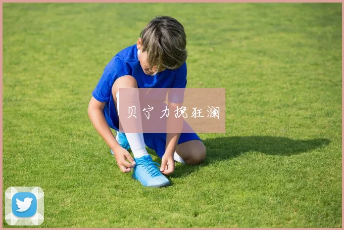 贝宁力挽狂澜