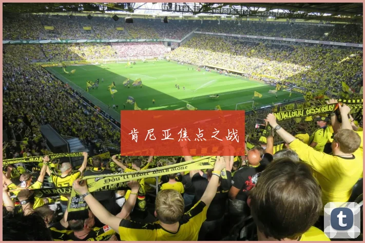 肯尼亚焦点之战