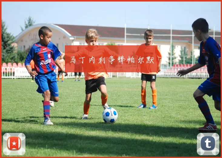 马丁内利争锋帕尔默