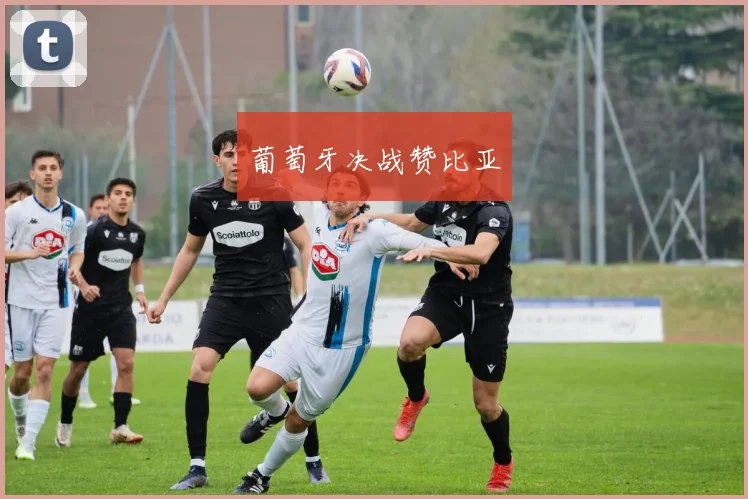 葡萄牙决战赞比亚