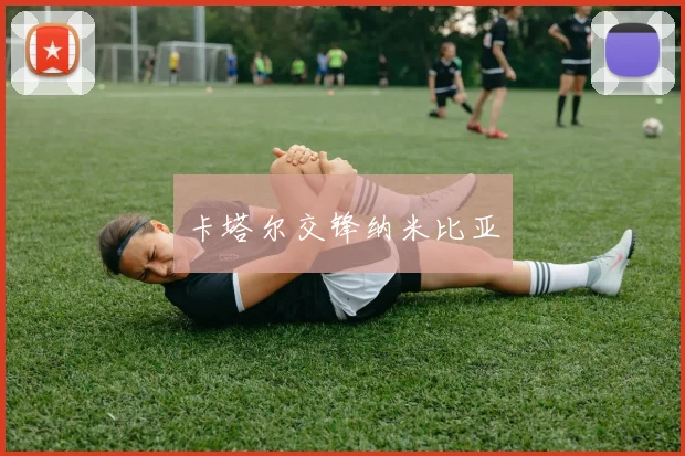 卡塔尔交锋纳米比亚