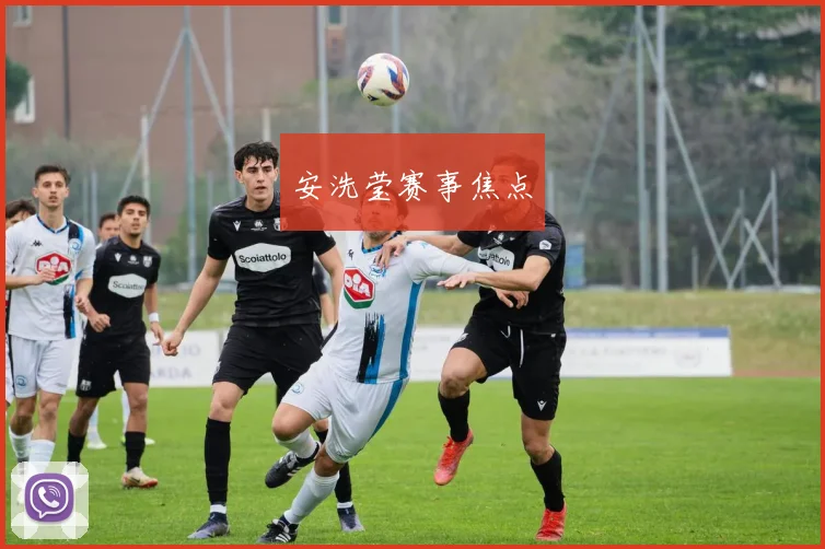 安洗莹赛事焦点