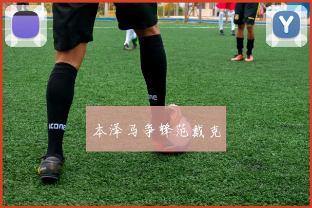 本泽马争锋范戴克