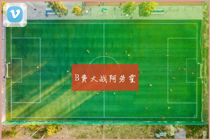 B费大战阿劳霍