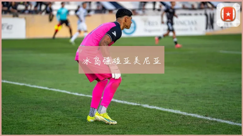 冰岛强碰亚美尼亚