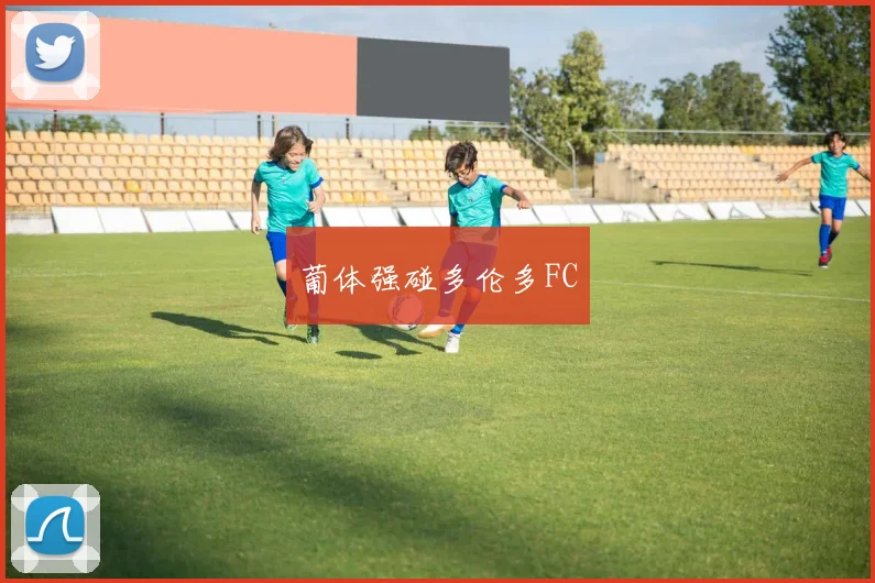 葡体强碰多伦多FC