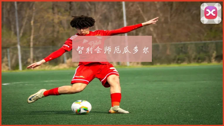 智利会师厄瓜多尔