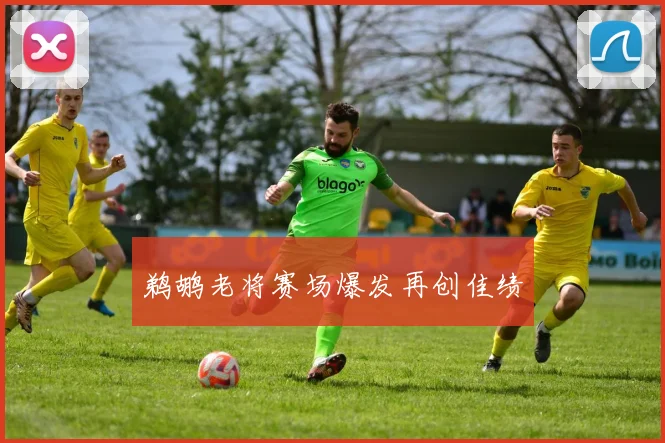 鹈鹕老将赛场爆发再创佳绩