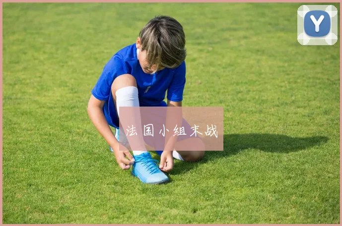 法国小组末战