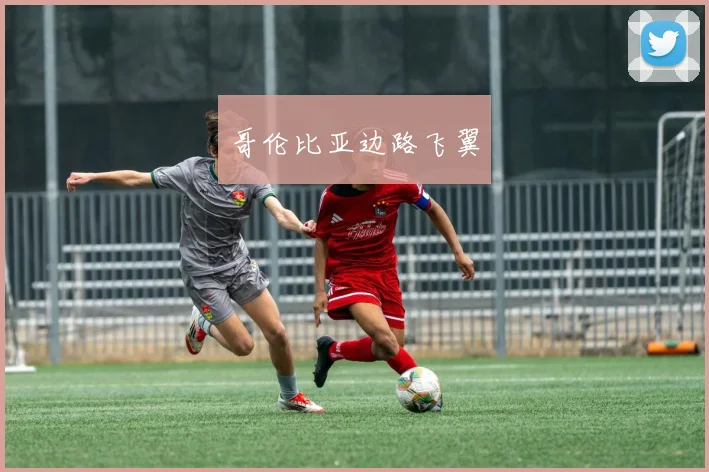 哥伦比亚边路飞翼