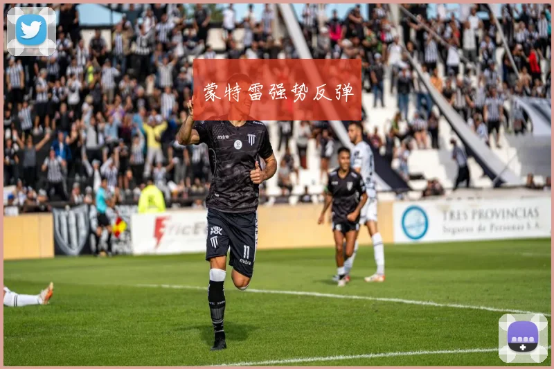 蒙特雷强势反弹