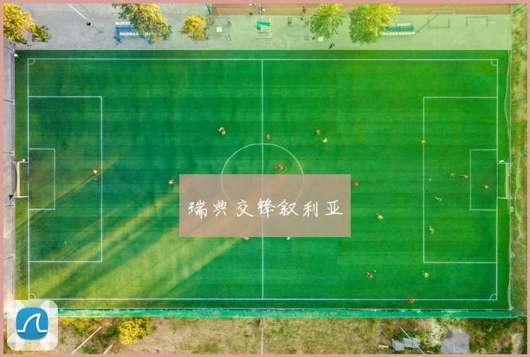 瑞典交锋叙利亚
