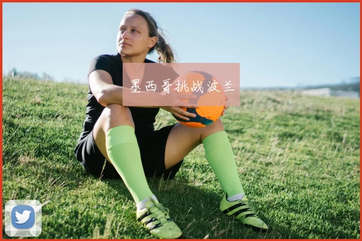 墨西哥挑战波兰