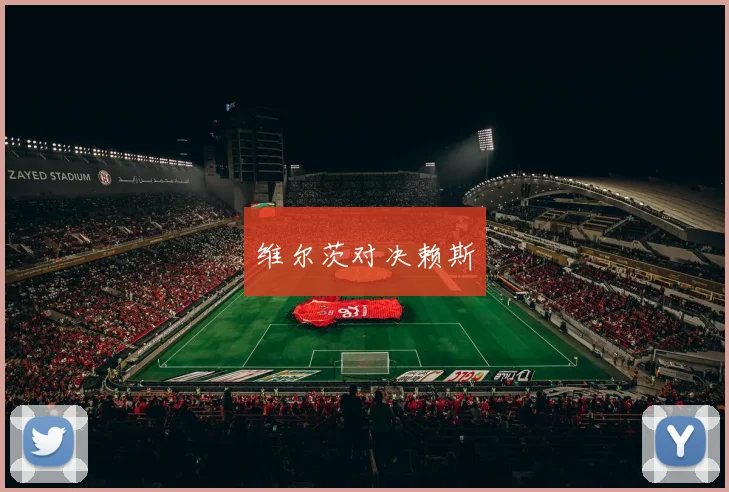 维尔茨对决赖斯