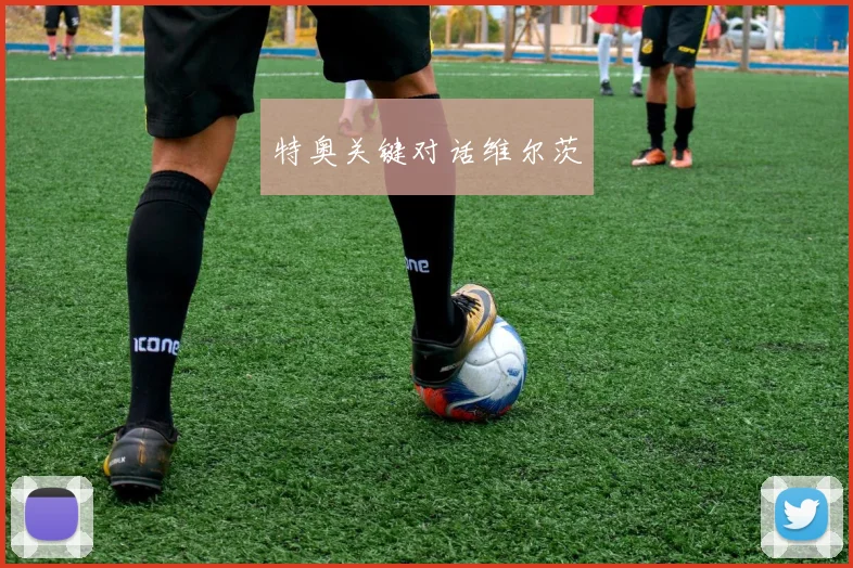 特奥关键对话维尔茨