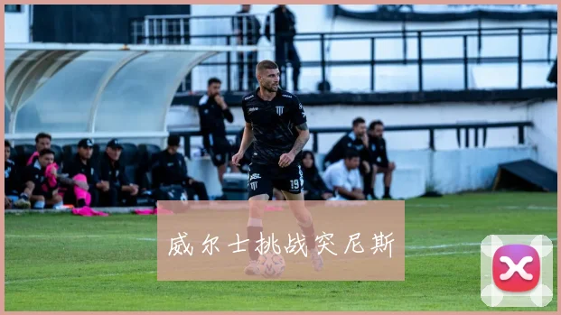 威尔士挑战突尼斯